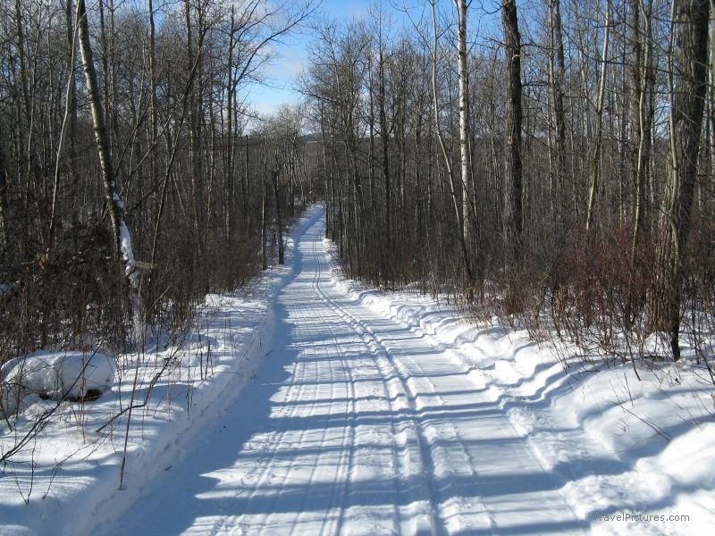 Greenwater park Cross country skiing park snow trail path forest tree trees