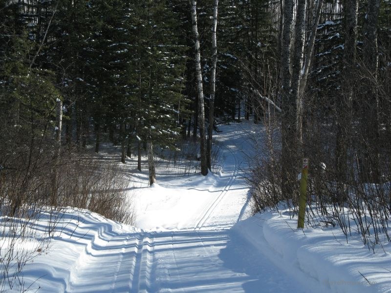 Greenwater park Cross skiing Greenwater provincial park trail path
