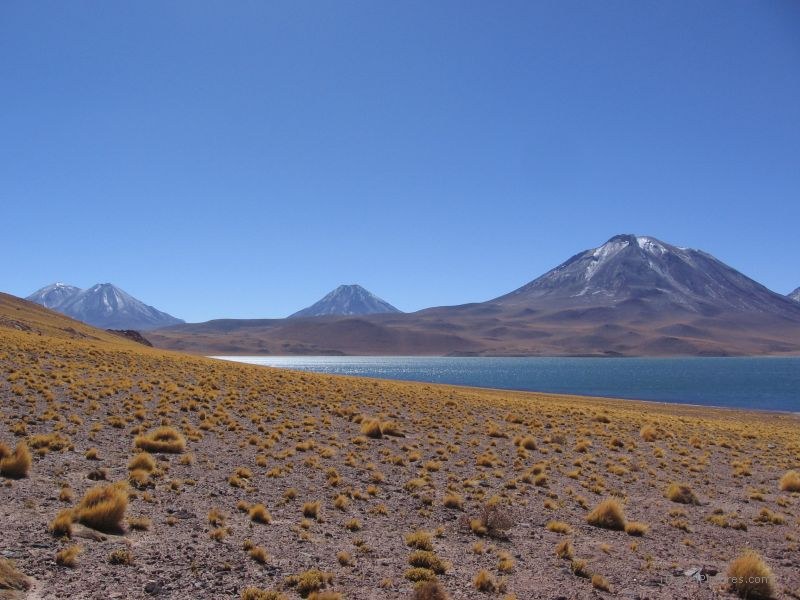 San Pedro de Atacama lake volcano Laguna Miscanti altiplano