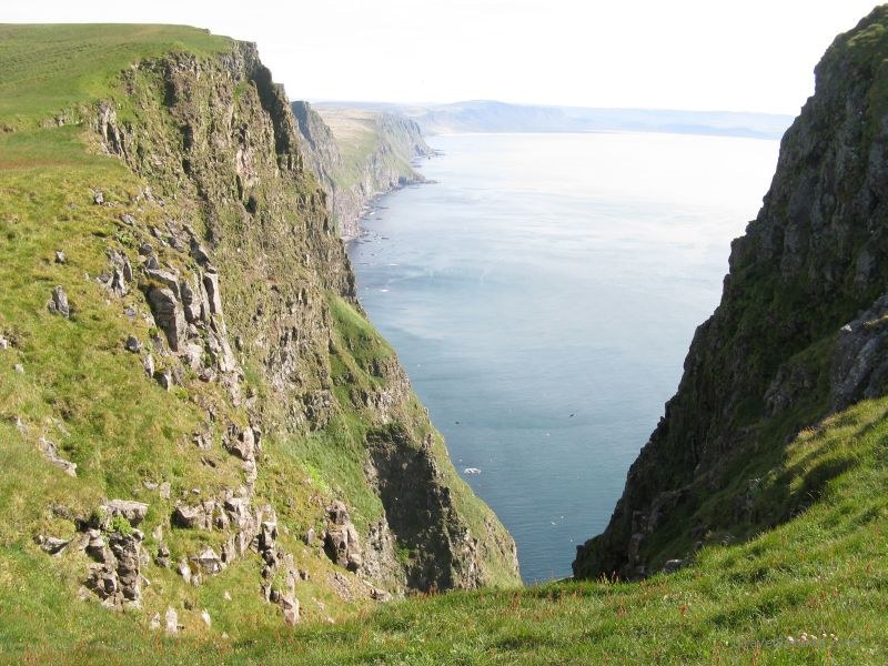 Latrabjarg cliff cliffs coast coastline