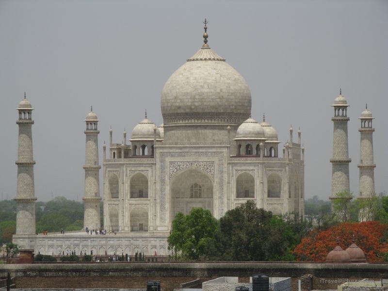 Agra Taj Mahal mausoleum marble tree trees