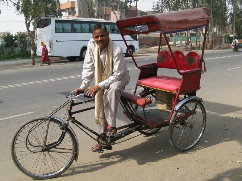 Agra bicycle rickshaw driver street man