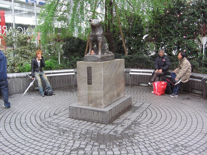 Shibuya Hachiko statue