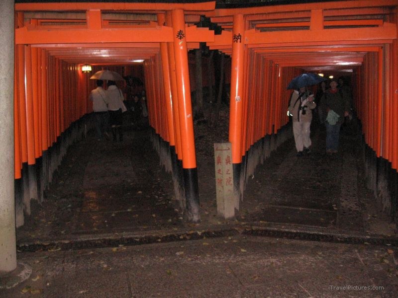 Kyoto Fushimi shrine torii