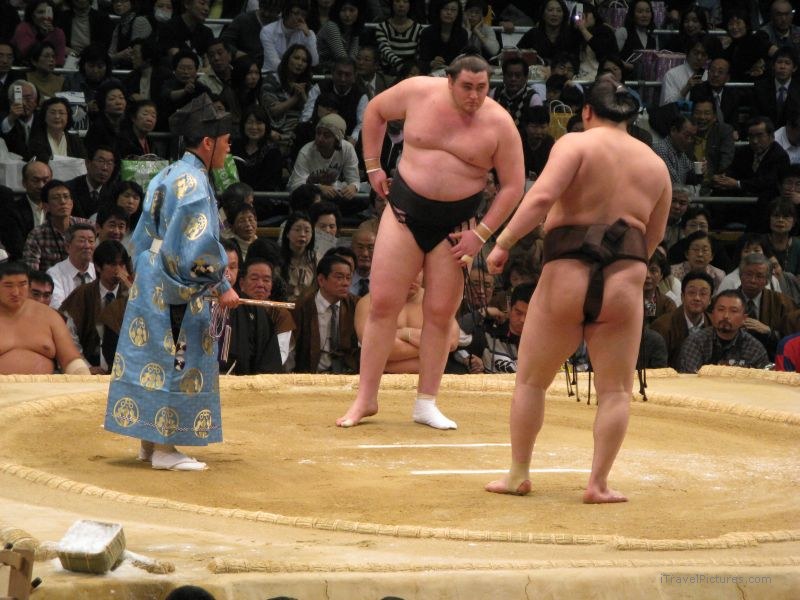 Osaka prefectural sumo tournament sport