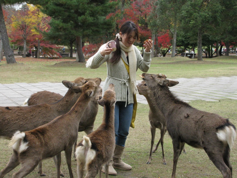eer Nara eating