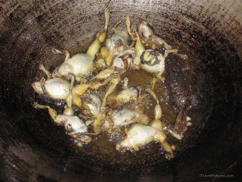 frogs frog Tat Kuang Si restaurant pan