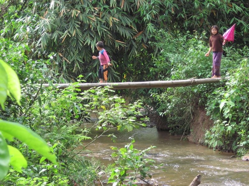 Gibbon Experience bridge river umbrella