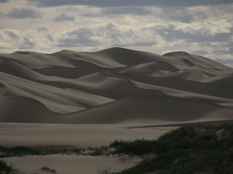and dune dunes Khongoriin Els