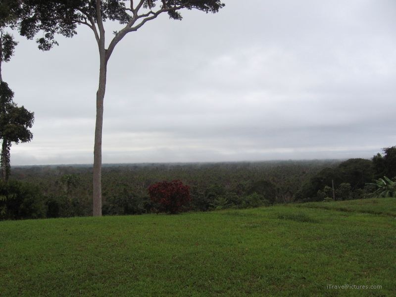 Belo Horizonte Estancia tree view viewpoint