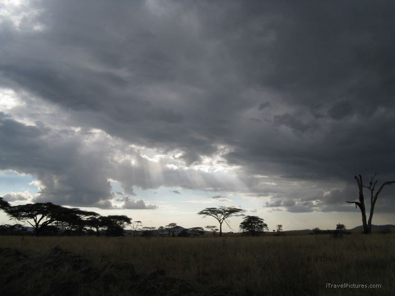 plains plain flat cloud clouds serengeti national park