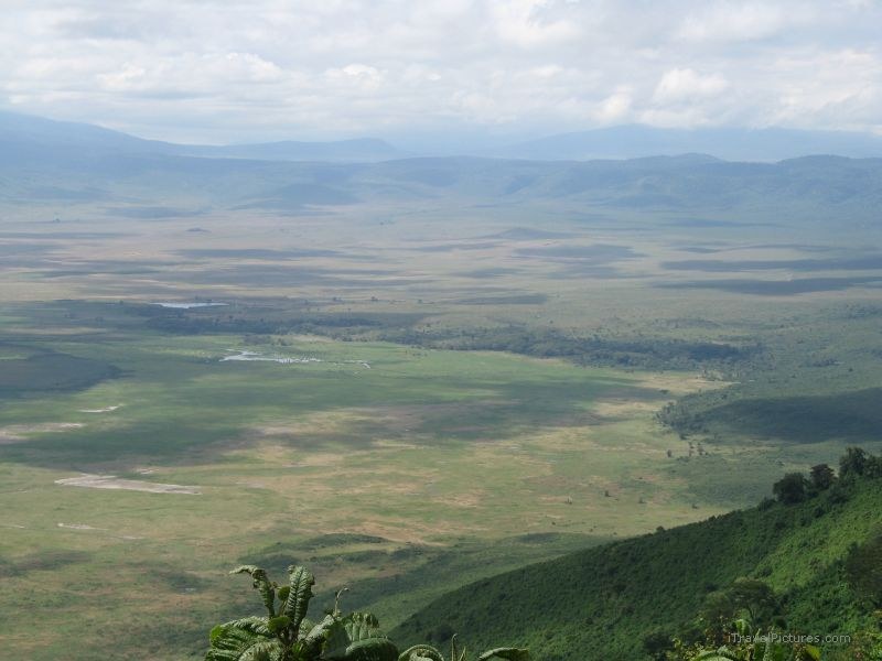 Ngorongoro crater rim national park