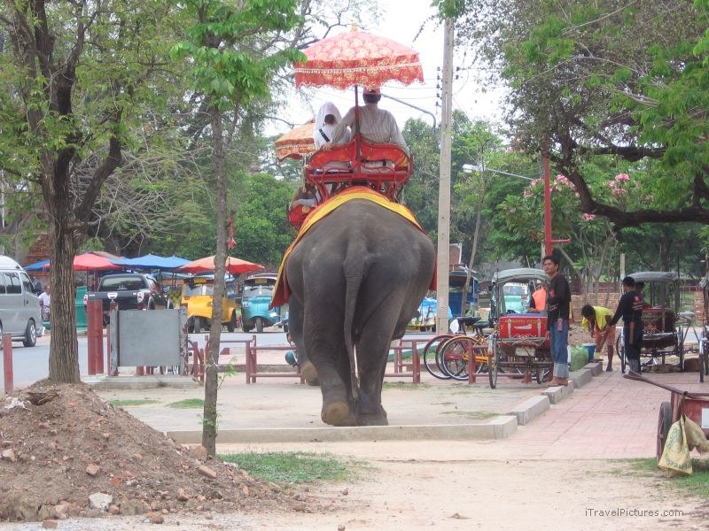 Ayuthaya elephant street umbrella