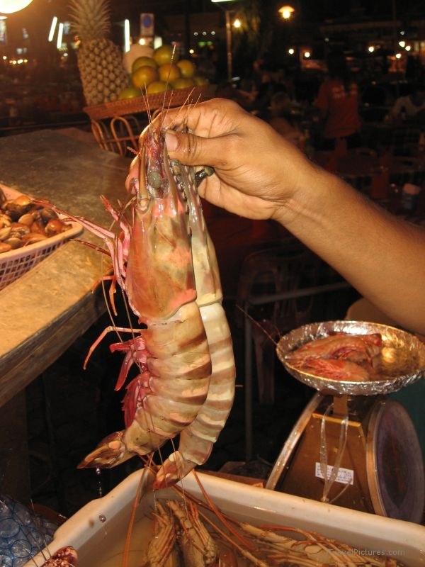 Phuket jumbo shrimp