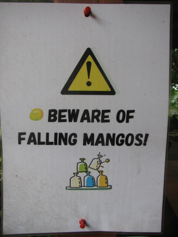 ign mango mangos