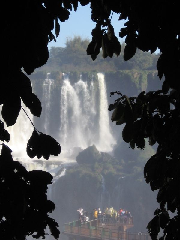 Iguazu waterfall leaf leaves