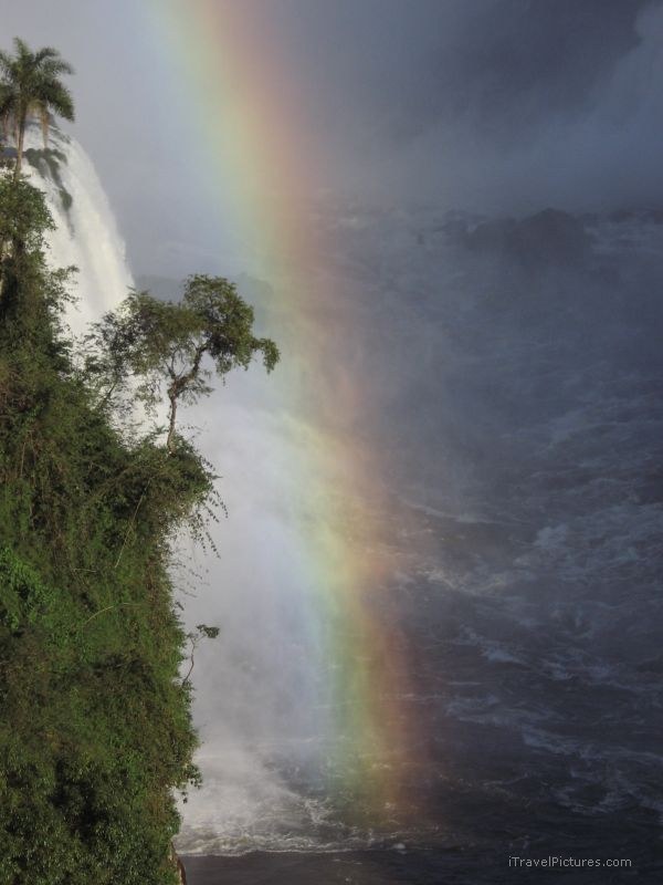 Iguazu Falls waterfall rainbow tree