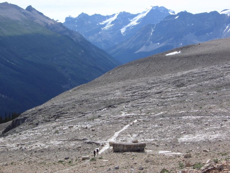 Yoho national park trail path valley