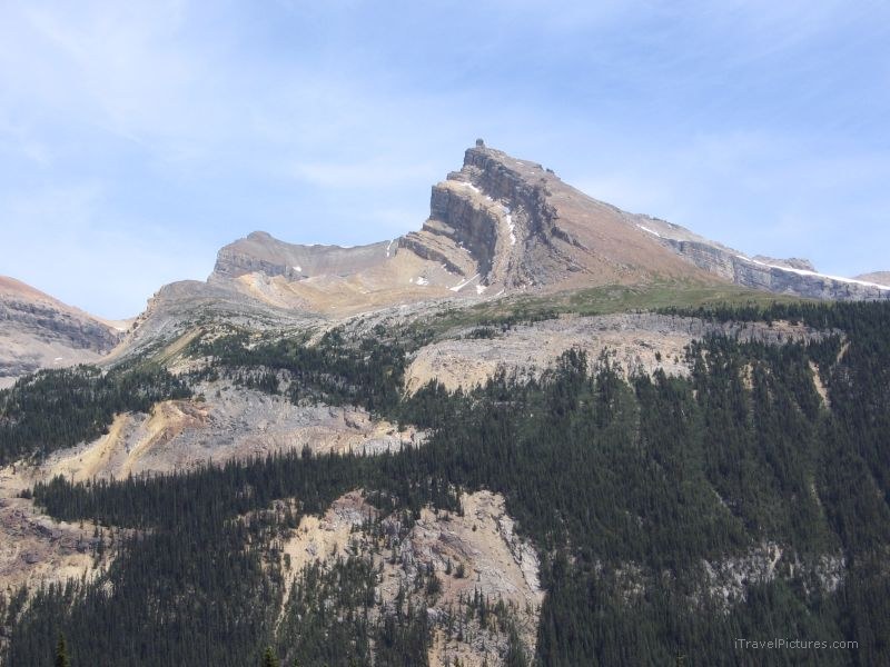 Yoho national park Iceline mountain