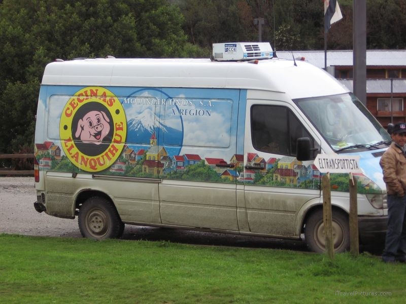 van pig sign