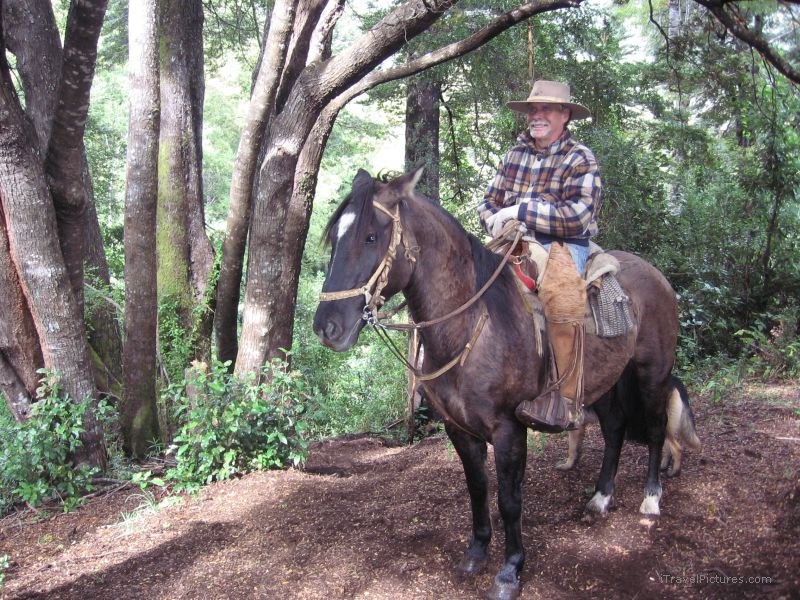 guide horse riding man
