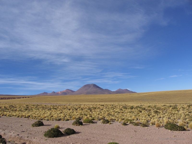 San Pedro de Atacama altiplano