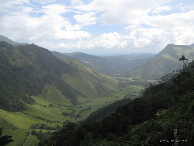 Salento valley Cocora