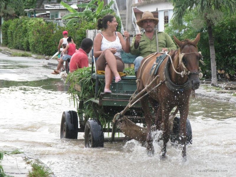 Nuevo Gerona horse cart rain man woman