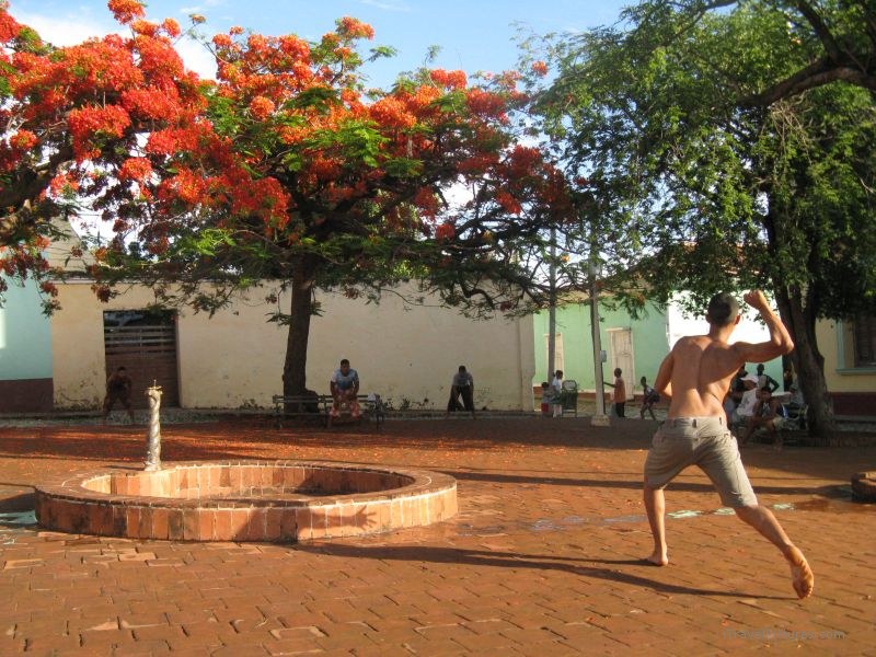Trinidad playing park tree trees flower flowers throwing handball