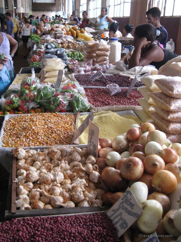 market havana vegetable food