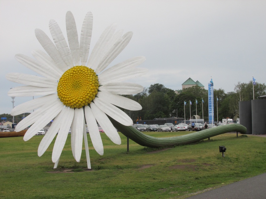 tatue flower