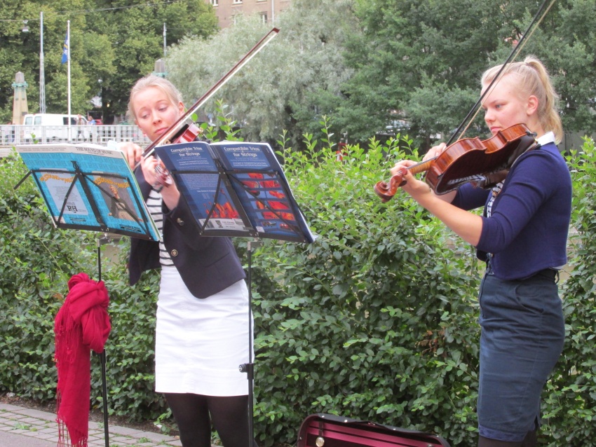 iolin violins