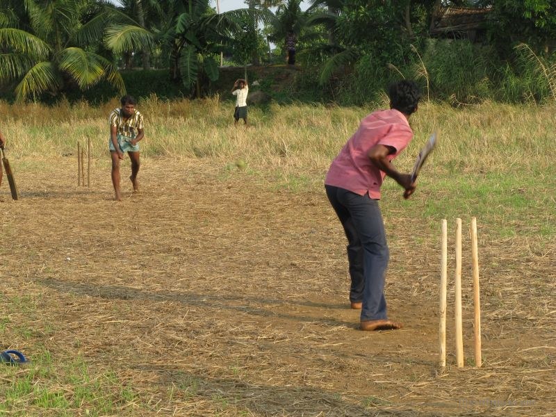 Keralan backwaters cricket playing sport