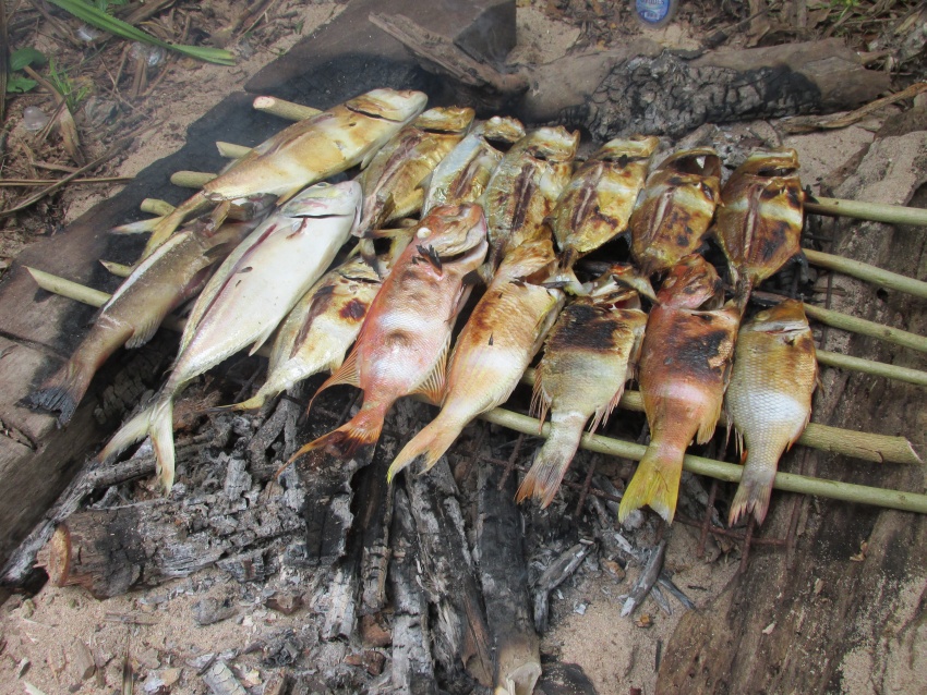 ish cooking food barbeque