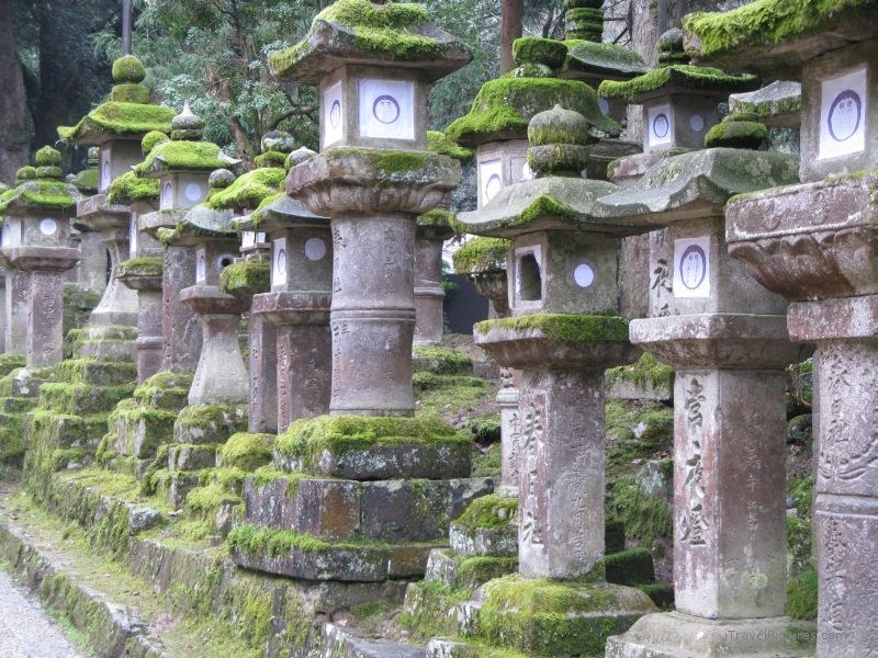 Nara lanterns Kasuga shrine