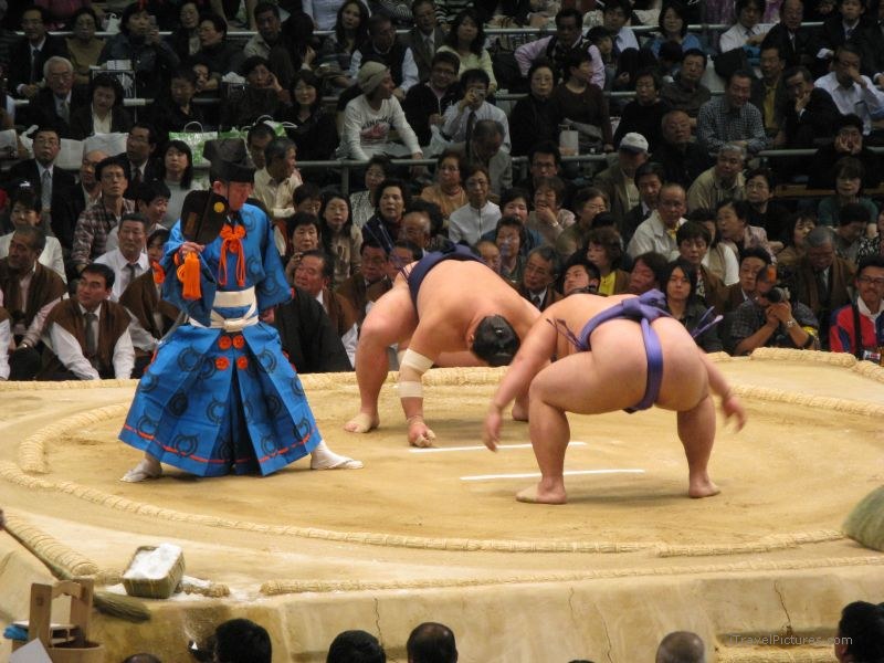 Osaka prefectural sumo tournament sport