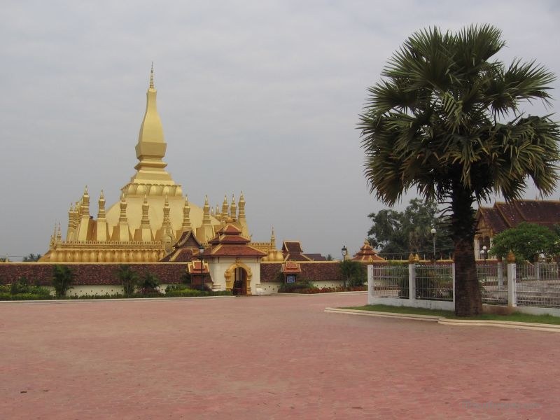 Phat That Luang temple Vientiane tree