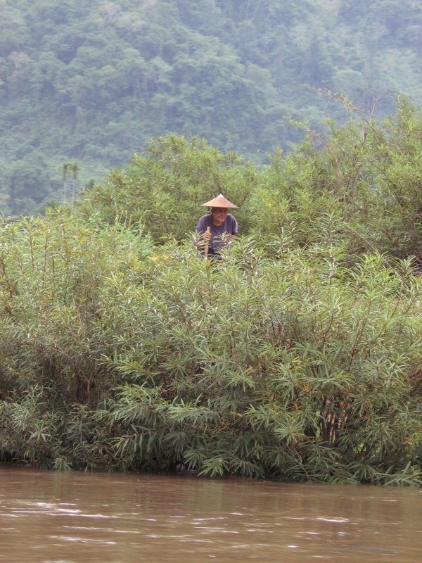 woman river hat