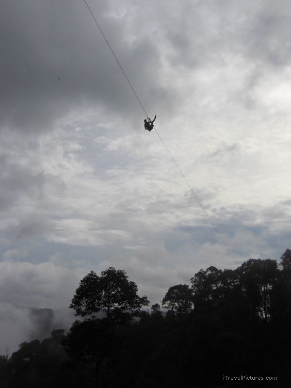 Gibbon Experience zipline Bokeo Nature Reserve