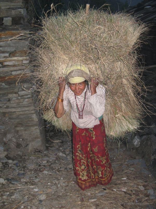 Chaliss woman carrying hay