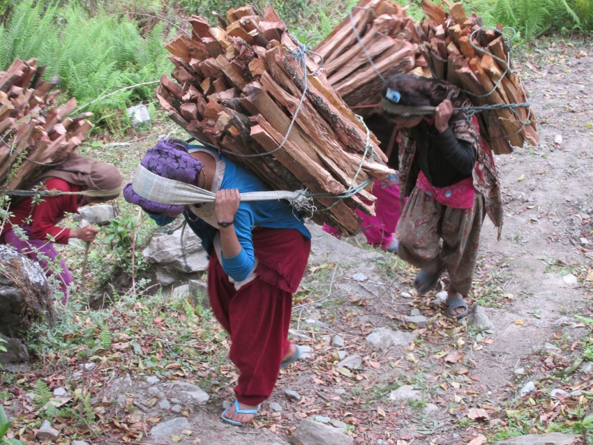 arrying wood firewood women