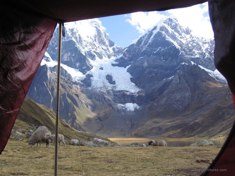 tent mountain sheep Huayhuash