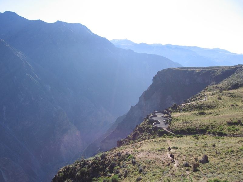 Cruz del colca canyon