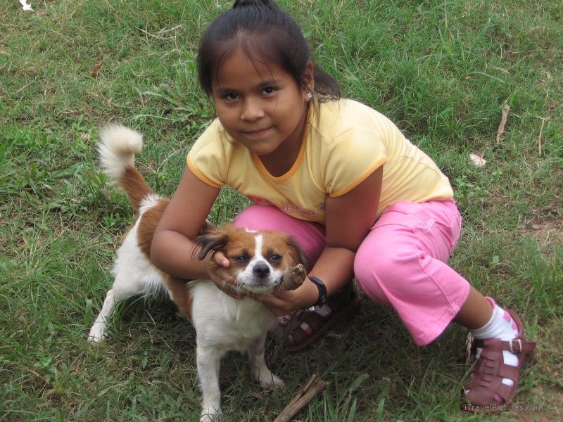 Paloma dog princessa Puerto Maldonado