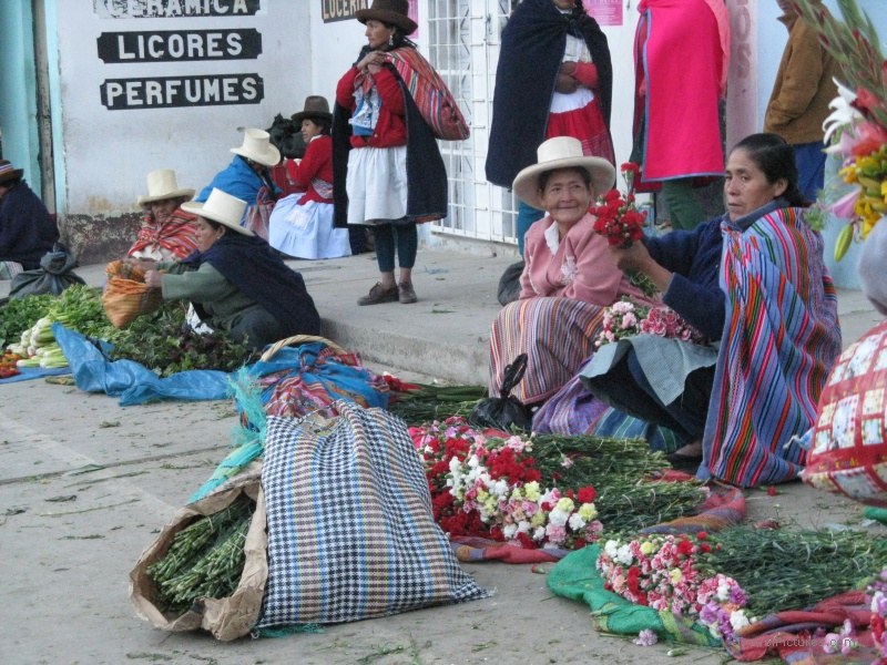 market morning Yungay flower flowers