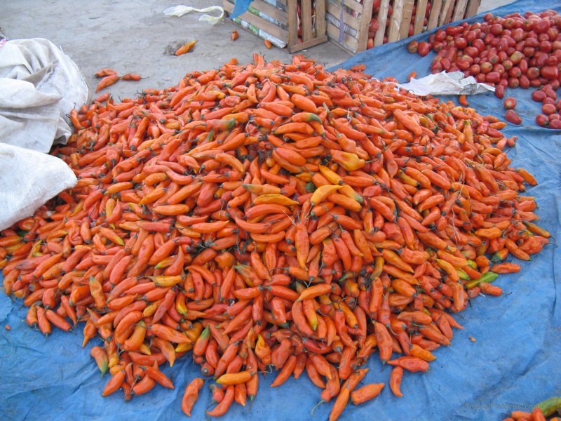 market morning pepper peppers Yungay