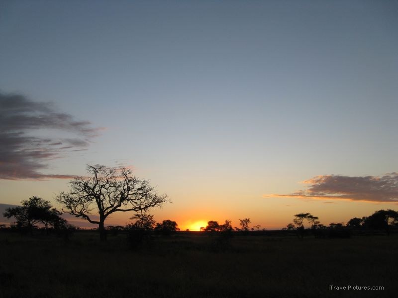 sunset serengeti national park