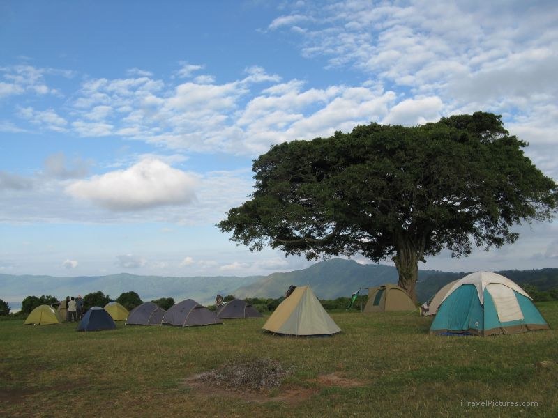 camp campsite tent tents tree Ngorongoro national park
