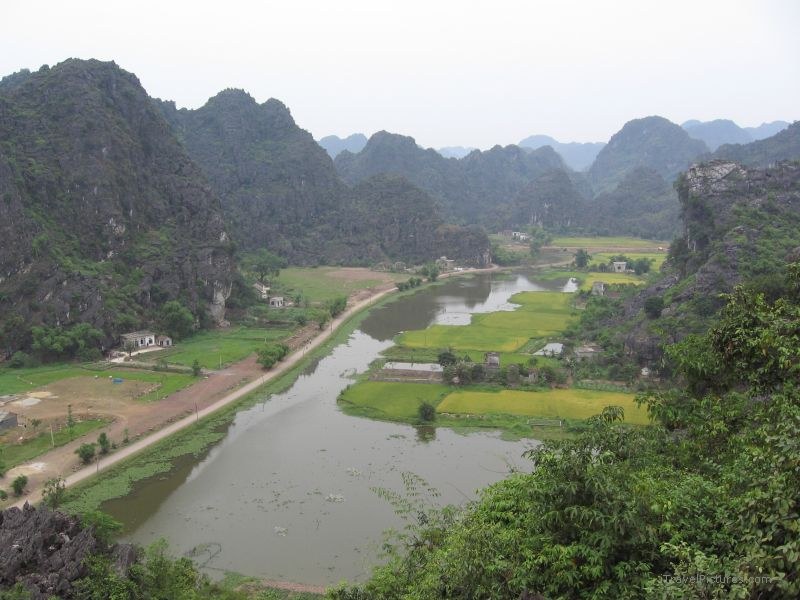 Tam Coc rice field limestone