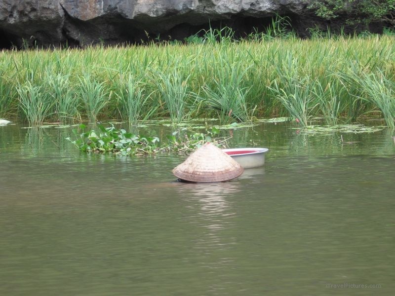 Tam Coc woman picking hat